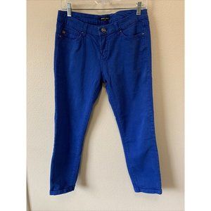 Dear John Women's Size 29 Jeans Blue Wash mid rise boutique brand skinny